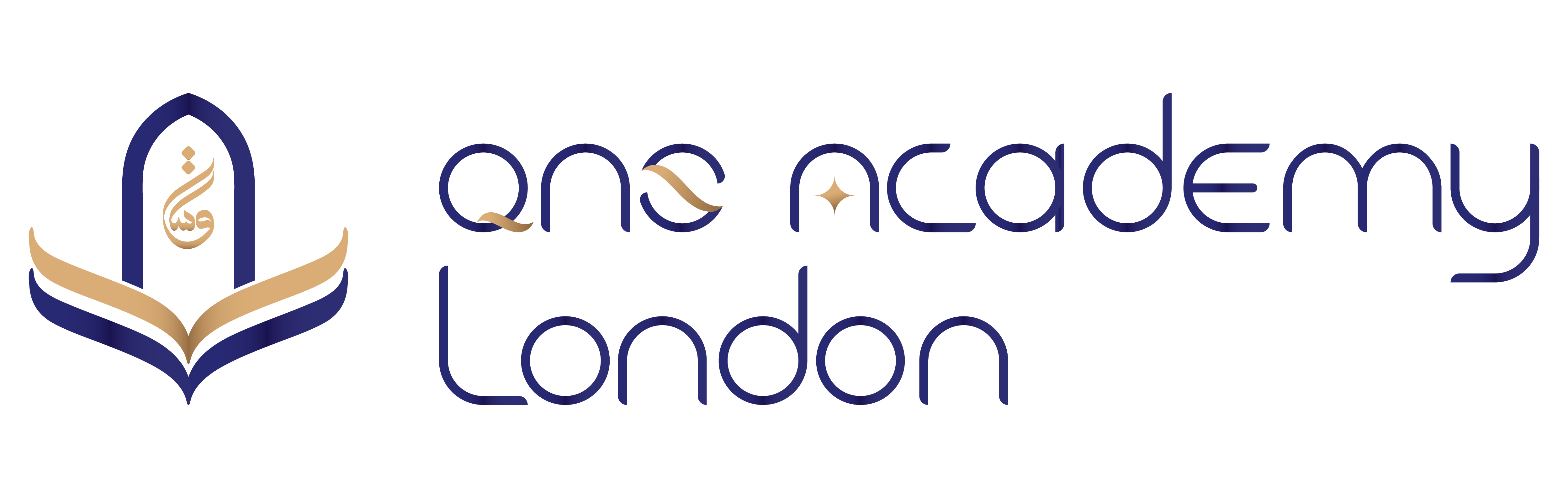 QnS Academy London Logo